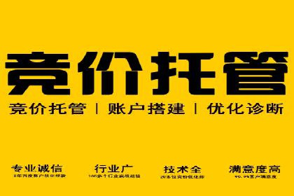 百度竞价推广：从投放策略到效果评估的全过程